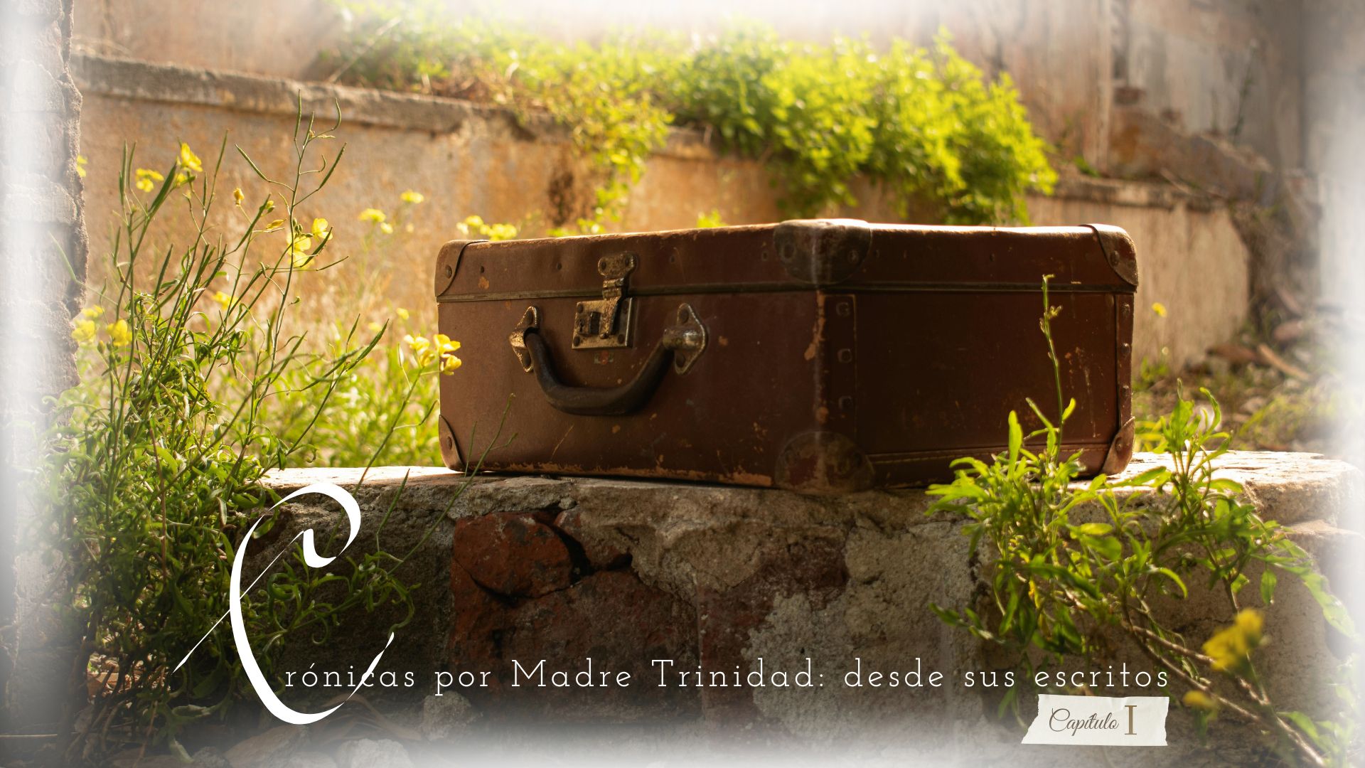 Crónicas por Madre Trinidad: desde sus escritos.